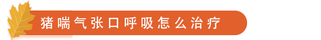 猪 喘 气 张 口 呼 吸 怎 么 治 疗.png